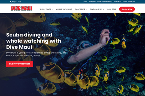 Design af hjemmeside til dykkerfirma